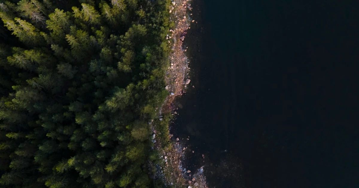 bam utbildning Hudiksvall bam utbildning Hudiksvall