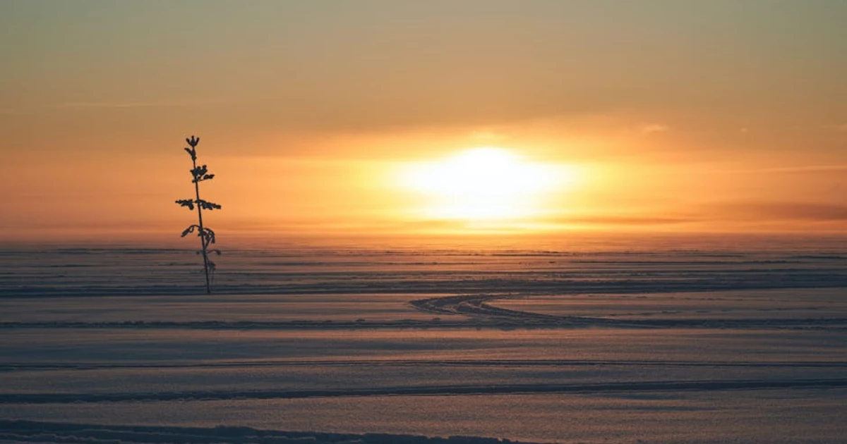bam utbildning Luleå bam utbildning Luleå