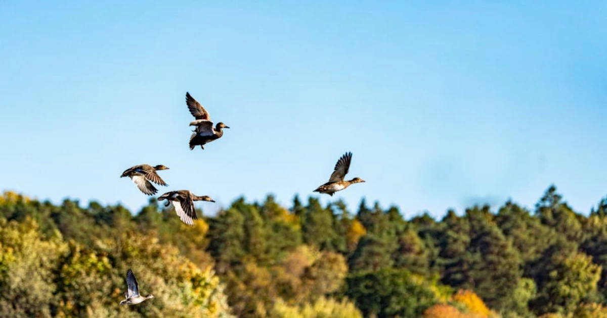 bam utbildning enköping bam utbildning enköping