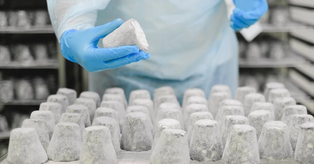 bam livsmedel distans